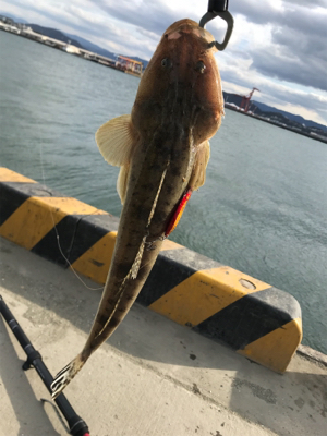 暴風でも釣れました