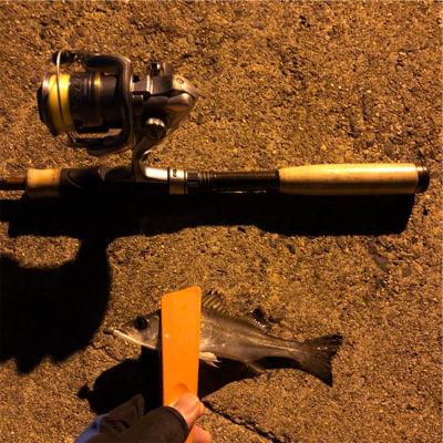 久々のタチウオ釣果！