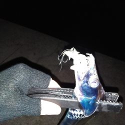 須磨陸っぱりタチウオ、ぎりぎりまだ釣れます