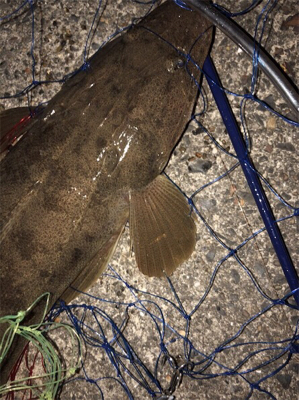 寒くなってきましたね、、、