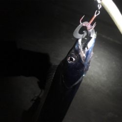 寒い！風強い！寒い‼︎