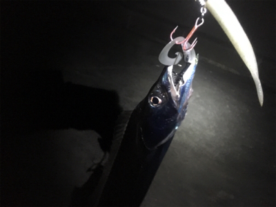 寒い！風強い！寒い‼︎