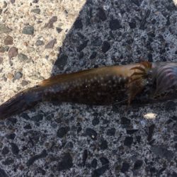 なんとか、、、