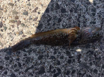 なんとか、、、