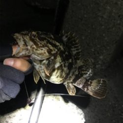 ハードロックフィッシュタックル勝負