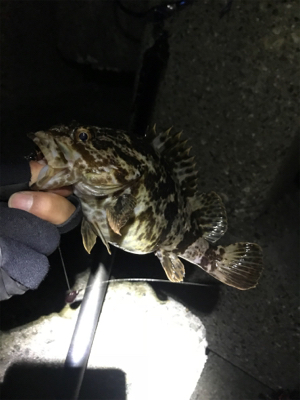 ハードロックフィッシュタックル勝負