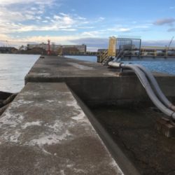 本命坊主 フカセ釣り