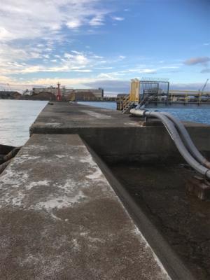 本命坊主 フカセ釣り