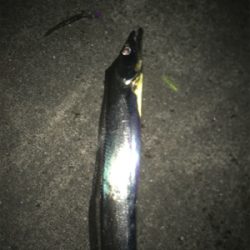 ドラゴンVSタッチポン