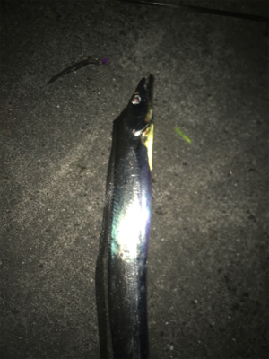 ドラゴンVSタッチポン