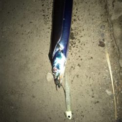 寒さに負けました