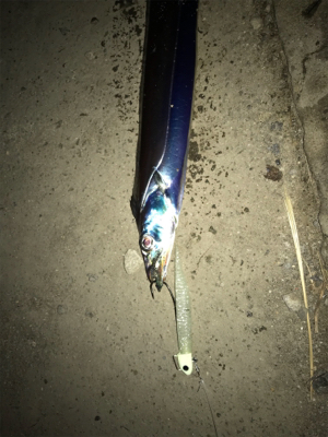 寒さに負けました