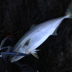 青物終わりかな