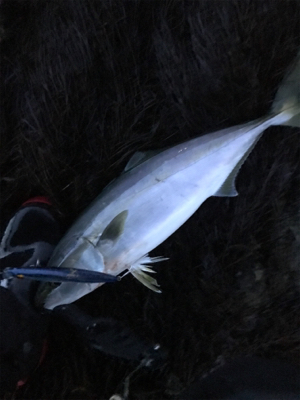 青物終わりかな