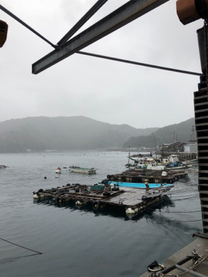 イトヨリが少々