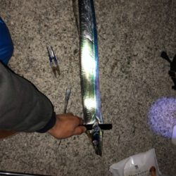 今シーズン釣り納め