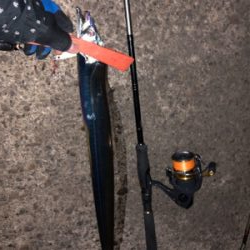 タチウオ爆釣！