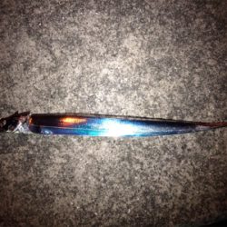 寒い中でのタッチーチャレンジ