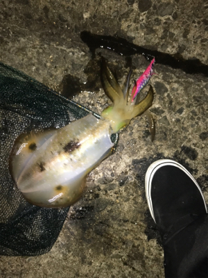 深夜２時間釣行