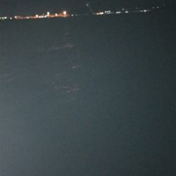 まだまだいるよ