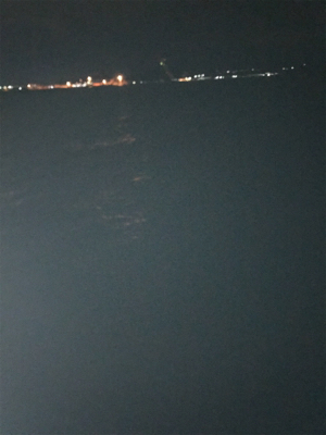 まだまだいるよ