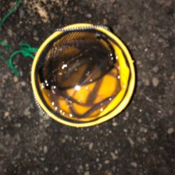 デカがしこ！！！！