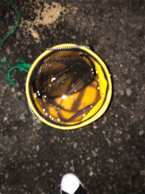 デカがしこ！！！！