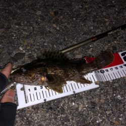 好釣果も災難な釣行