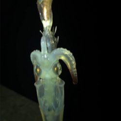 やっぱり渋いヒイカ釣り(＞＜)