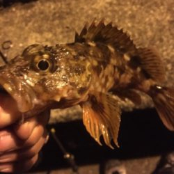 強風で寒かったです