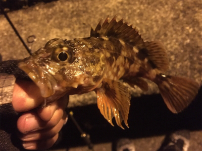 強風で寒かったです