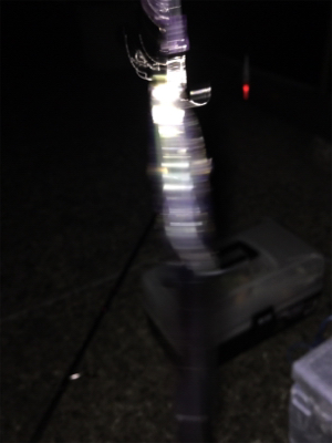 極寒の中でタチウオ