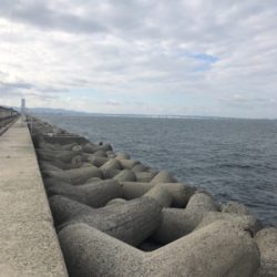 サヨリパターンのはずが・・・