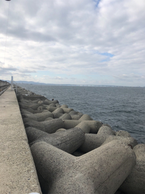 サヨリパターンのはずが・・・