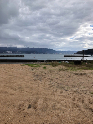 サゴシ狙いにいきましたがΣ(゚д゚lll)