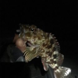 ハードロックフィッシュ練習2