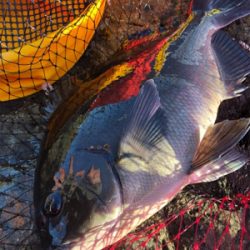 地磯でフカセ♪