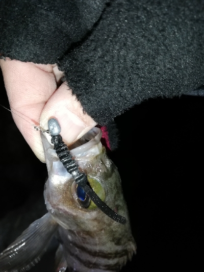 ニューワームでメバリング