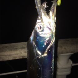 ドラゴン現れず