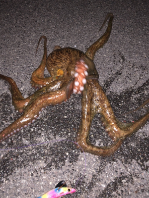 化け物出てもうた