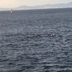 釣り納めでまさかの…