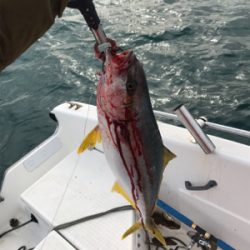 今年最後のマイボート 釣行