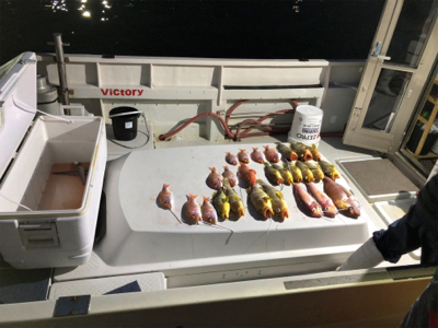 ディープタイラバ?!