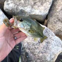 渋かった寒かった日