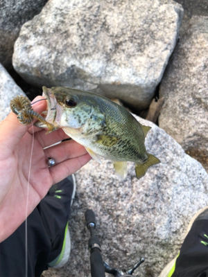 渋かった寒かった日