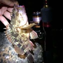 マリンピア沖洲でライトゲーム