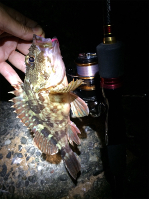 マリンピア沖洲でライトゲーム