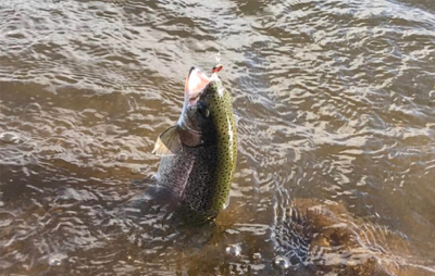 幼稚園児ルアー初釣果