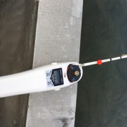 初めてのワカサギ