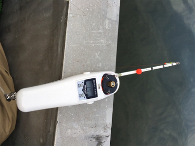 初めてのワカサギ